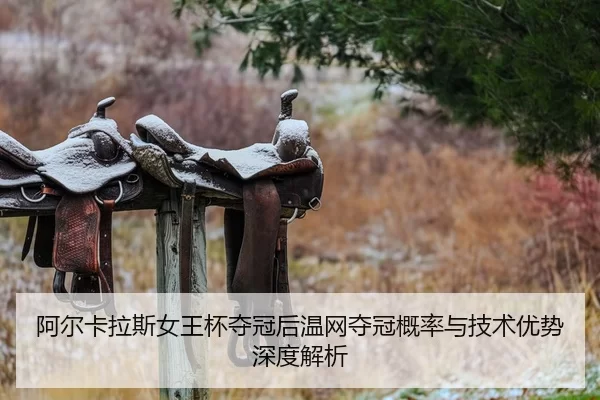a-er-ka-la-si-nv-wang-bei-duo-guan-hou-wen-wang-duo-guan-gai-lv-yu-ji-shu-you-shi-shen-du-jie-xi-2-922.jpg